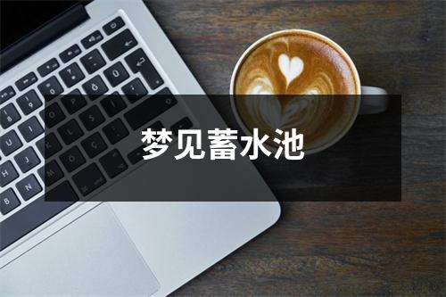 <h3>梦见蓄水池