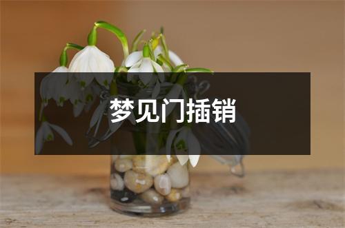 <h3>梦见门插销