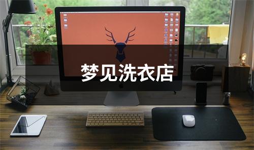 <h3>梦见洗衣店