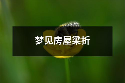 梦见房屋梁折