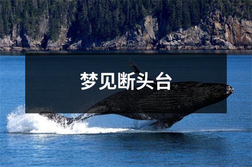 <h3>梦见断头台