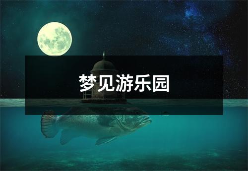 梦见游乐园