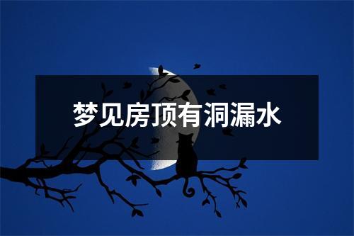 梦见房顶有洞漏水