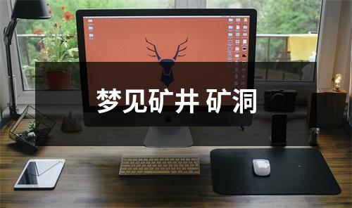 <h3>梦见矿井矿洞