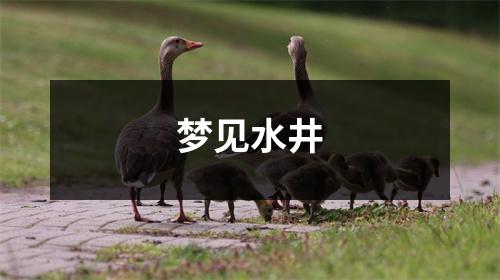 <h3>梦见水井