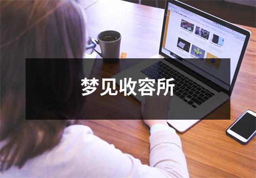 <h3>梦见收容所