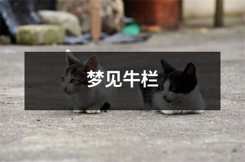 <h3>梦见牛栏