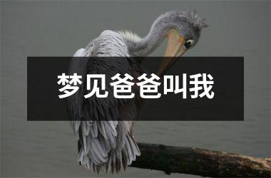 <h3>梦见爸爸叫我