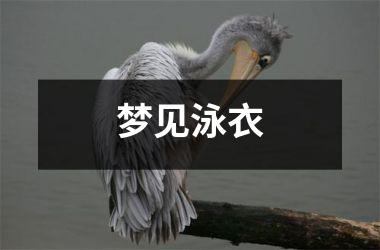 <h3>梦见泳衣