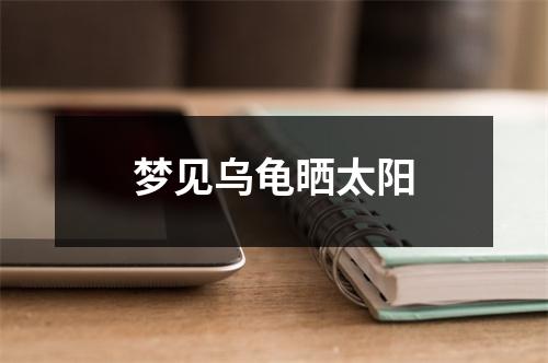 <h3>梦见乌龟晒太阳