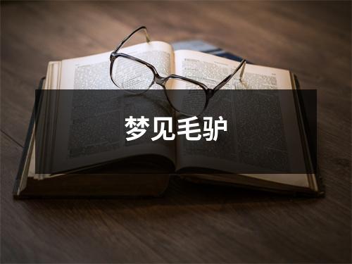 <h3>梦见毛驴
