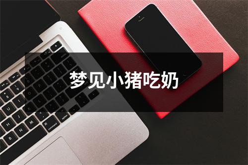 梦见小猪吃奶