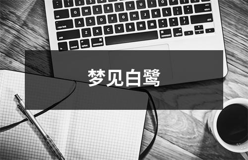 梦见白鹭