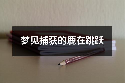 梦见捕获的鹿在跳跃
