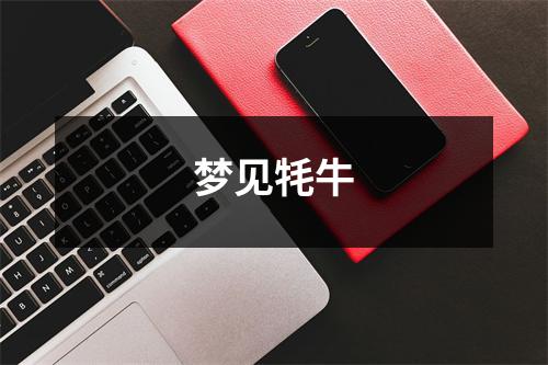 <h3>梦见牦牛