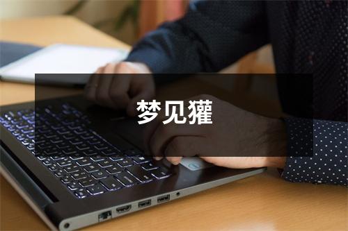 <h3>梦见獾
