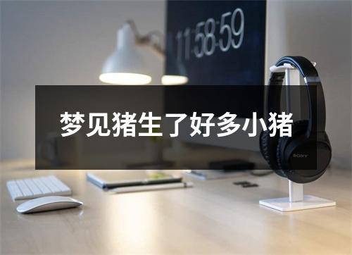 <h3>梦见猪生了好多小猪