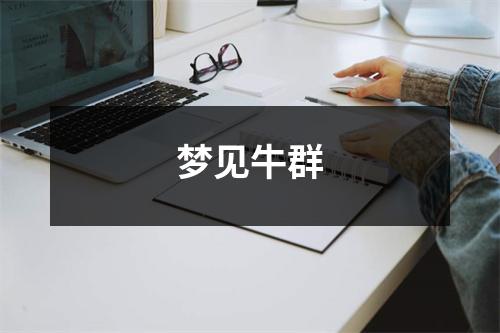 梦见牛群