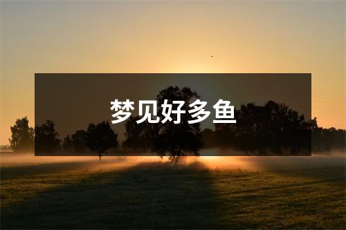 梦见好多鱼
