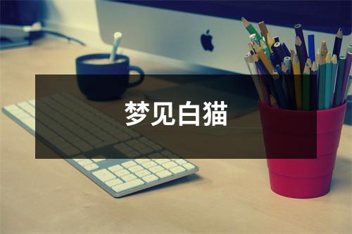 <h3>梦见白猫