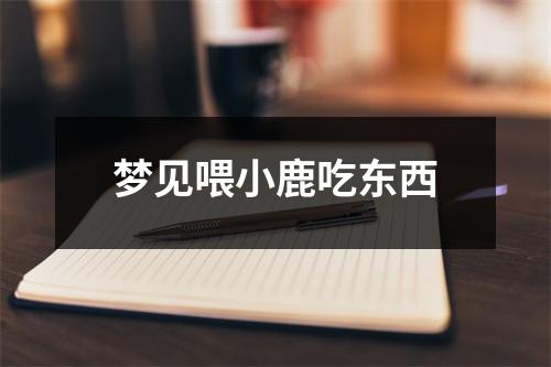 梦见喂小鹿吃东西