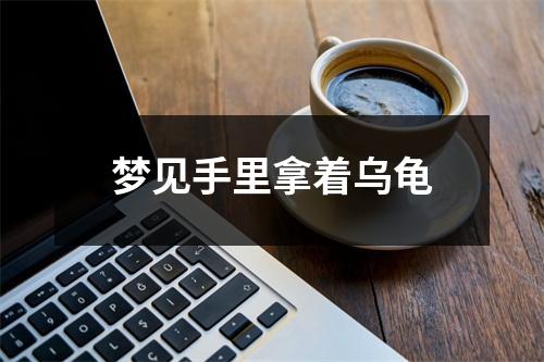 梦见手里拿着乌龟