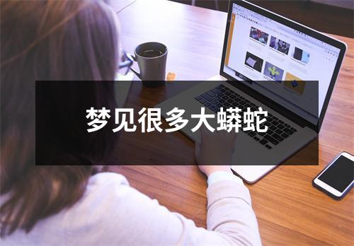 梦见很多大蟒蛇