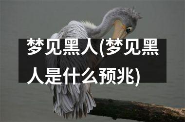 <h3>梦见黑人(梦见黑人是什么预兆)