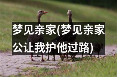 <h3>梦见亲家(梦见亲家公让我护他过路)