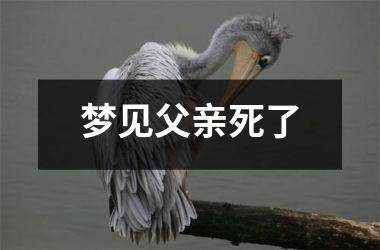 梦见父亲死了