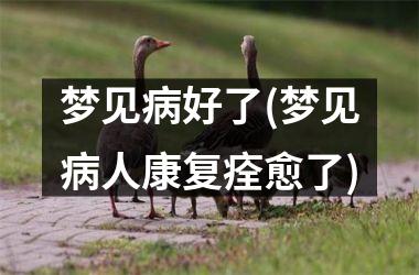 <h3>梦见病好了(梦见病人康复痊愈了)