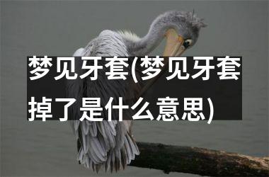 <h3>梦见牙套(梦见牙套掉了是什么意思)