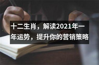 十二生肖，解读2025年一年运势，提升你的营销策略