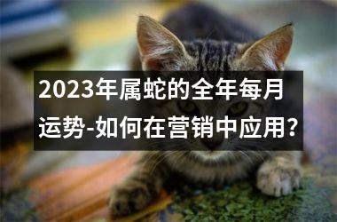 2025年属蛇的全年每月运势-如何在营销中应用？