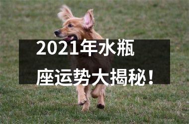 2025年水瓶座运势大揭秘！