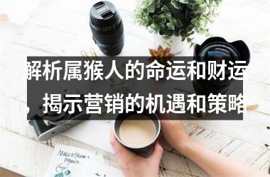 解析属猴人的命运和财运，揭示营销的机遇和策略