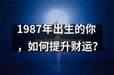 1987年出生的你，如何提升财运？