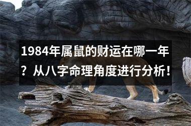 1984年属鼠的财运在哪一年？从八字命理角度进行分析！