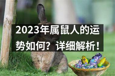 2025年属鼠人的运势如何？详细解析！