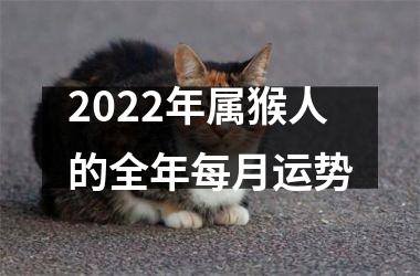 <h3>2025年属猴人的全年每月运势