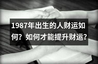 1987年出生的人财运如何？如何才能提升财运？