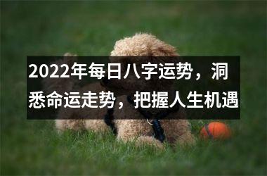 <h3>2025年每日八字运势，洞悉命运走势，把握人生机遇