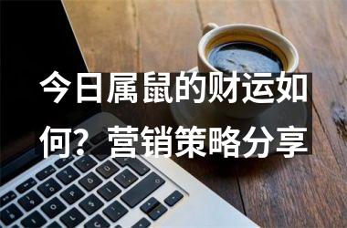 今日属鼠的财运如何？营销策略分享