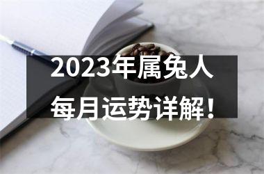 2025年属兔人每月运势详解！