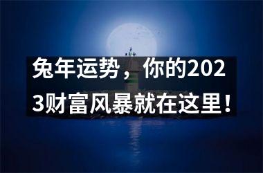 兔年运势，你的2025财富风暴就在这里！