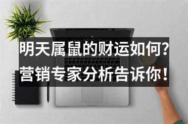 明天属鼠的财运如何？营销专家分析告诉你！