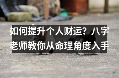 如何提升个人财运？八字老师教你从命理角度入手