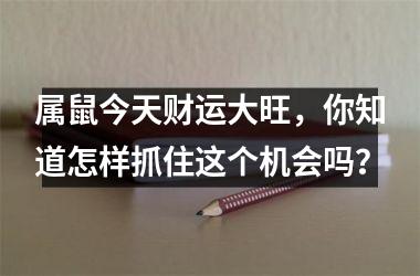 属鼠今天财运大旺，你知道怎样抓住这个机会吗？