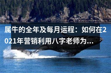 属牛的全年及每月运程：如何在2025年营销利用八字老师为牛年打造产品策略？