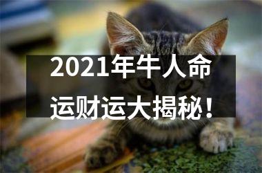 2025年牛人命运财运大揭秘！